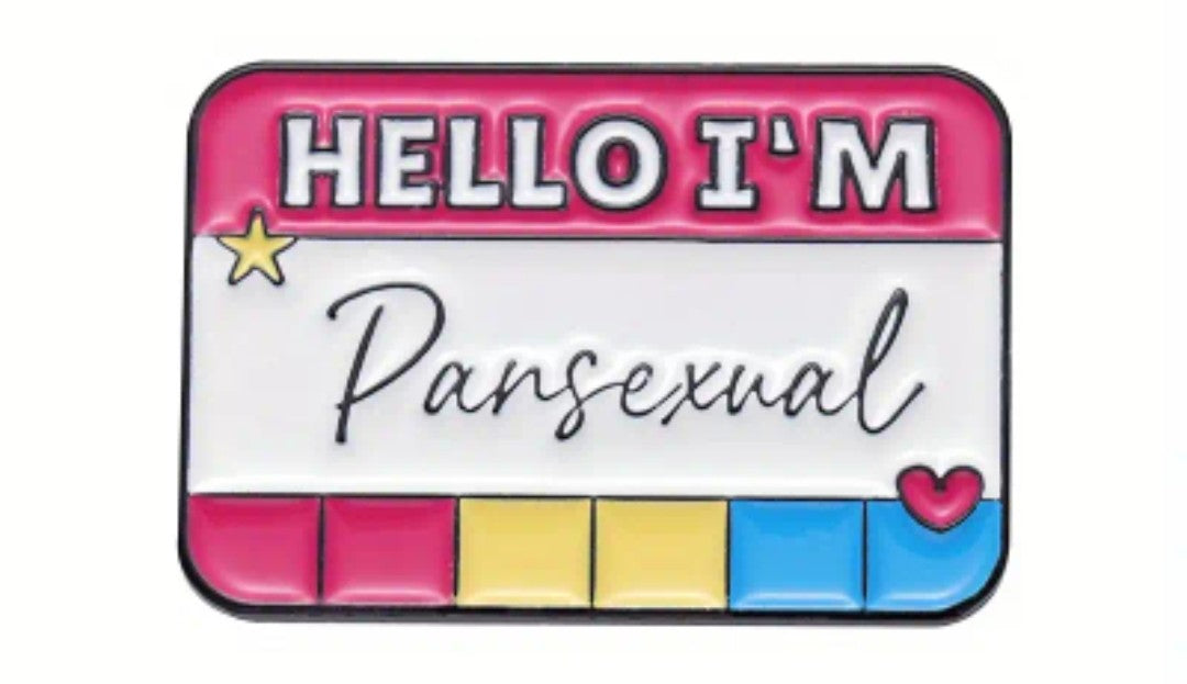 "Hello I'm..." Pins